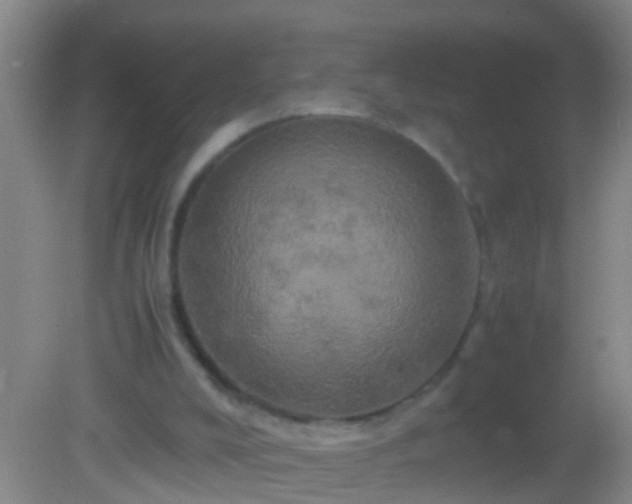 X0000082200008200701270130