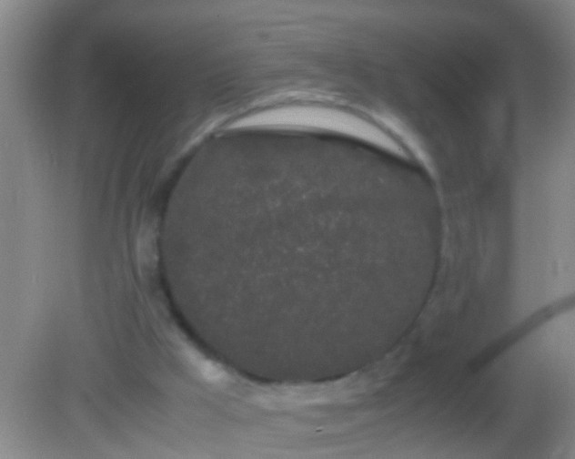 X0000082200009200701270130