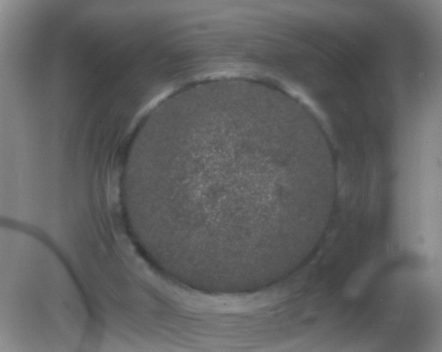 X0000082200010200701270130