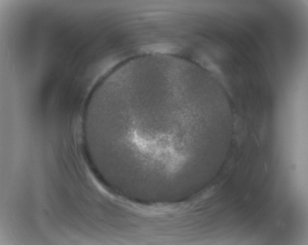 X0000082200012200701270130