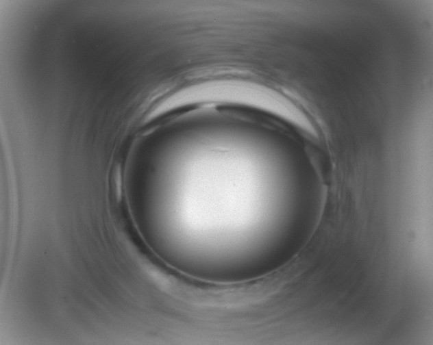 X0000082200013200701270130