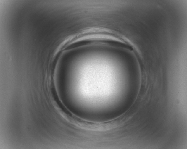 X0000082200015200701270130