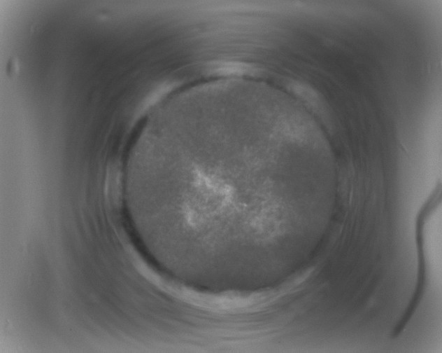 X0000082200016200701270130