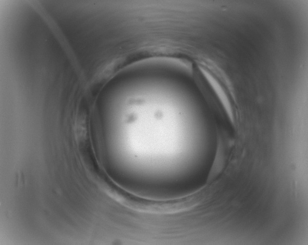 X0000082200017200701270130