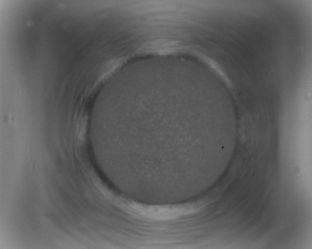 X0000082200018200701270130