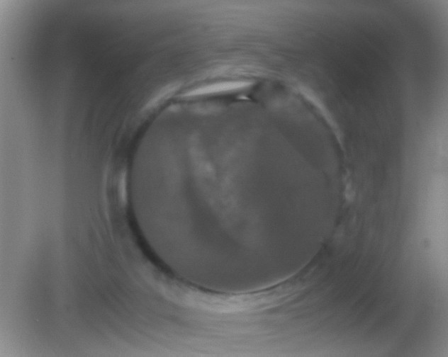 X0000082200019200701270130