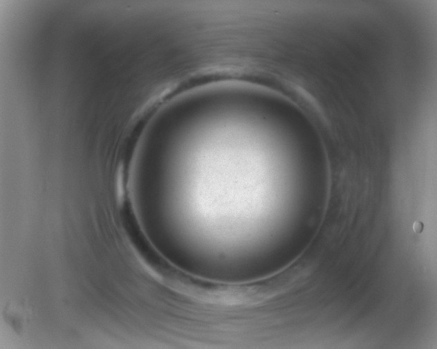 X0000082200020200701270130