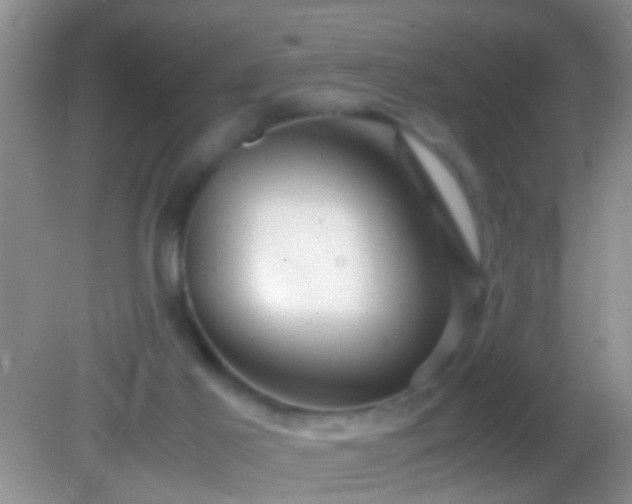 X0000082200021200701270130