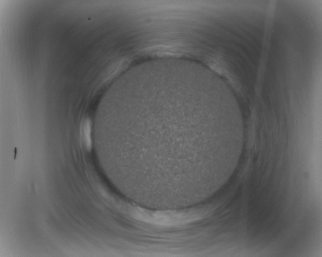 X0000082200022200701270130