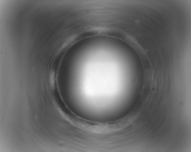 X0000082200024200701270130