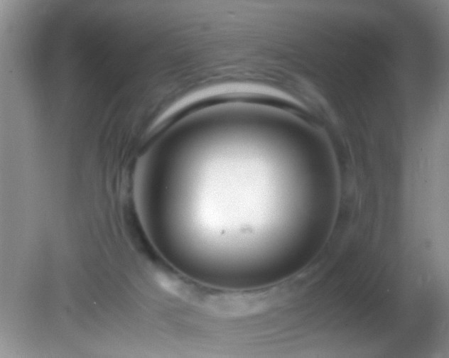 X0000082200025200701270130