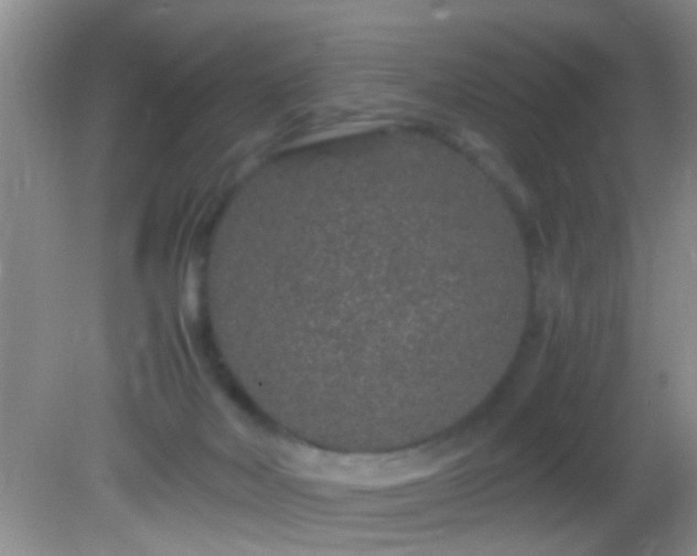 X0000082200026200701270130