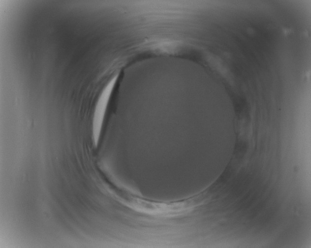 X0000082200027200701270130