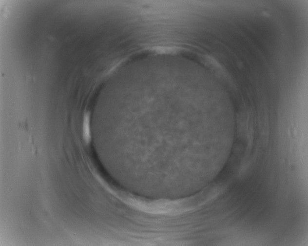 X0000082200028200701270130