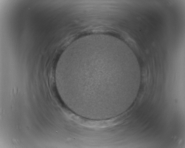 X0000082200029200701270130