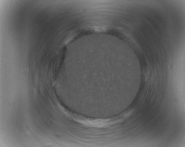 X0000082200032200701270130