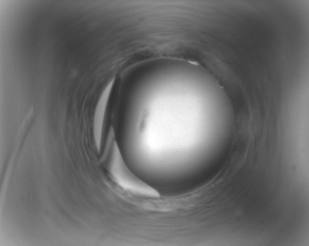 X0000082200033200701270130