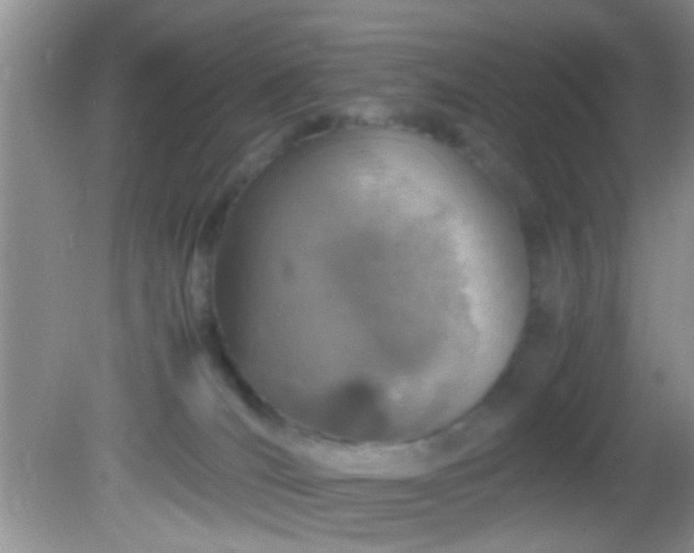 X0000082200036200701270129