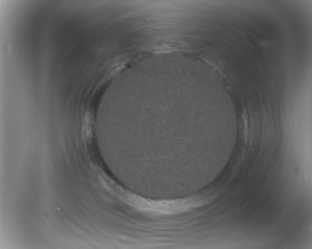 X0000082200038200701270129