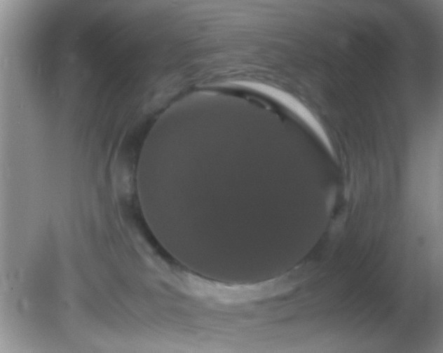 X0000082200039200701270129