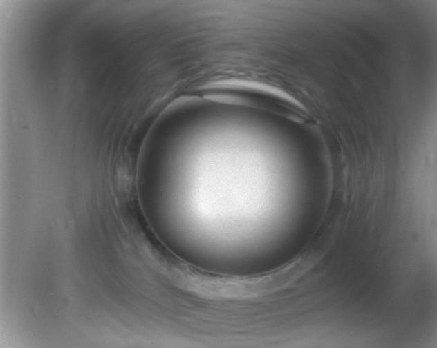 X0000082200040200701270129