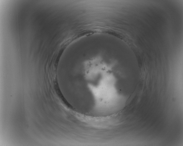 X0000082200043200701270129