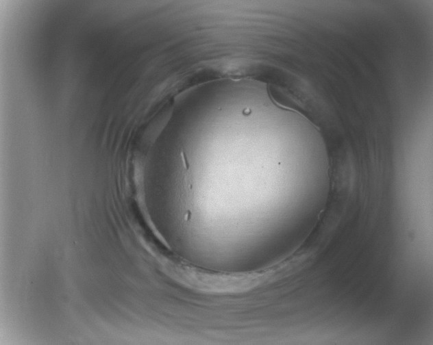 X0000082200044200701270129