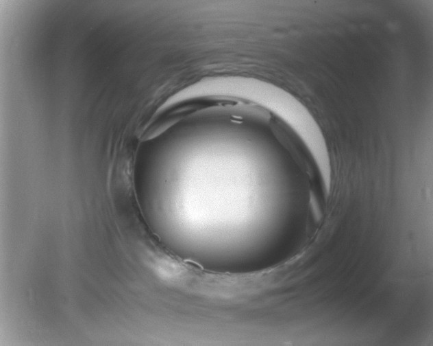 X0000082200045200701270129