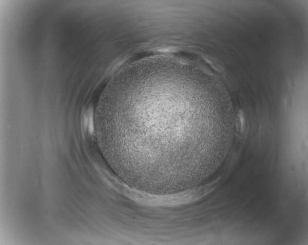 X0000082200046200701270129