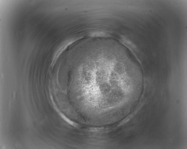 X0000082200049200701270128