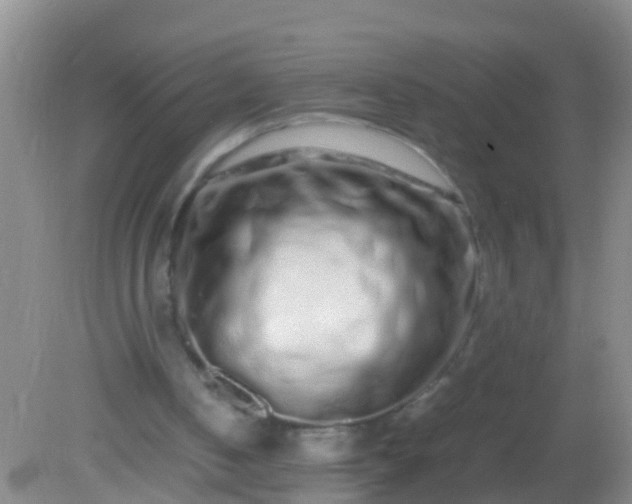 X0000082200050200701270128