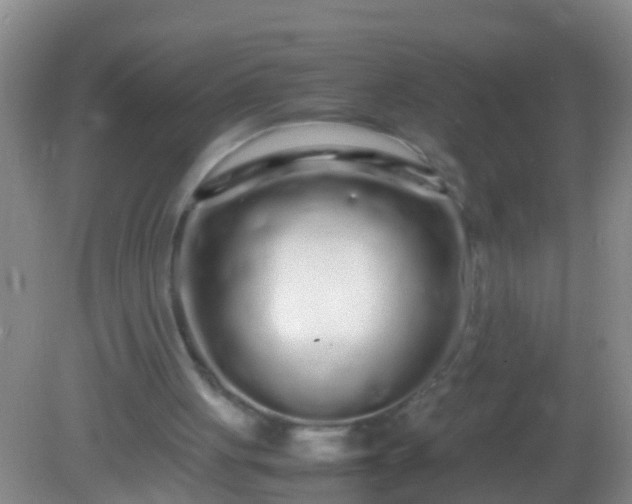 X0000082200051200701270128