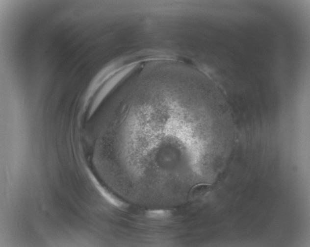 X0000082200053200701270129