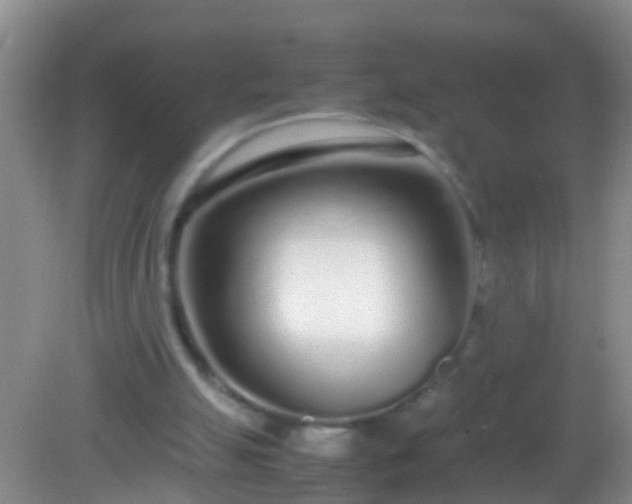 X0000082200055200701270129