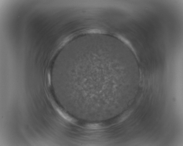 X0000082200061200701270129