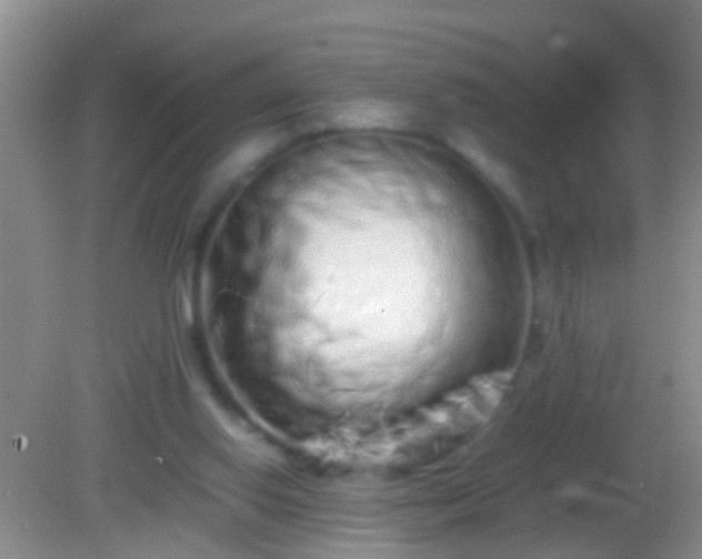 X0000082200062200701270129