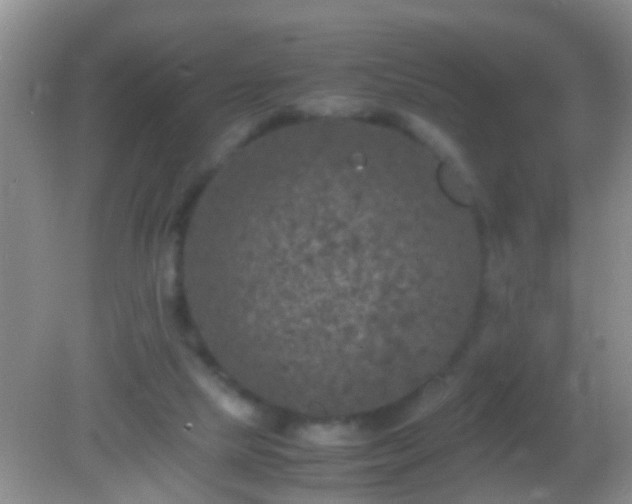 X0000082200065200701270129