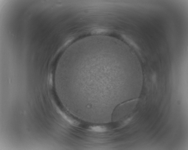 X0000082200067200701270129