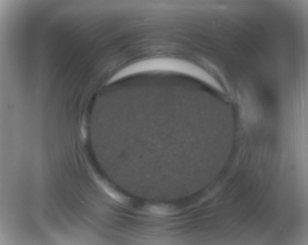 X0000082200069200701270129