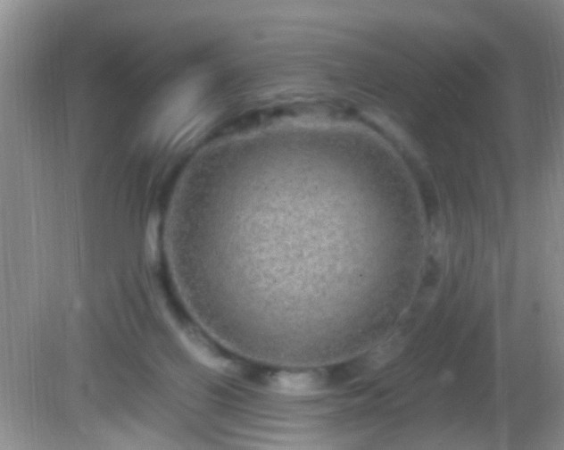 X0000082200070200701270129