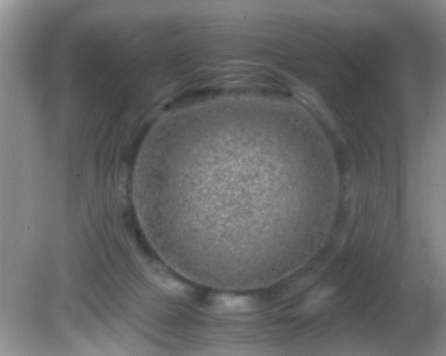 X0000082200073200701270129