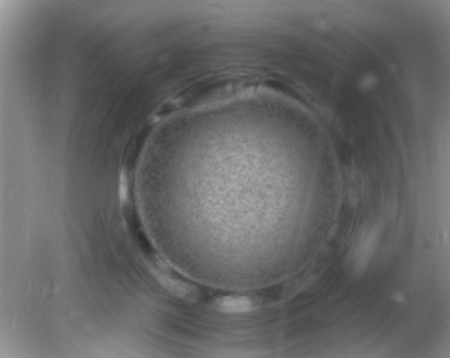 X0000082200075200701270129