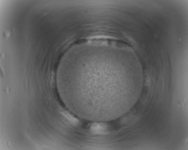 X0000082200077200701270129