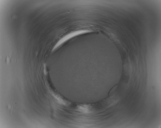 X0000082200079200701270129