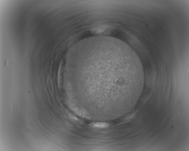 X0000082200085200701270129