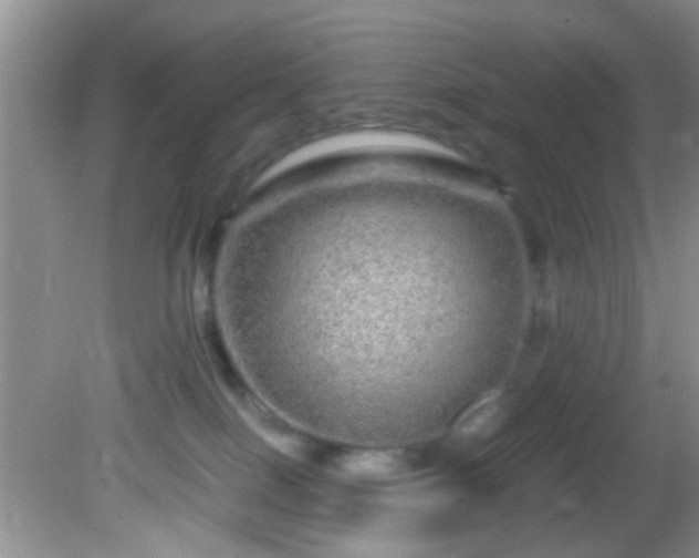 X0000082200086200701270129