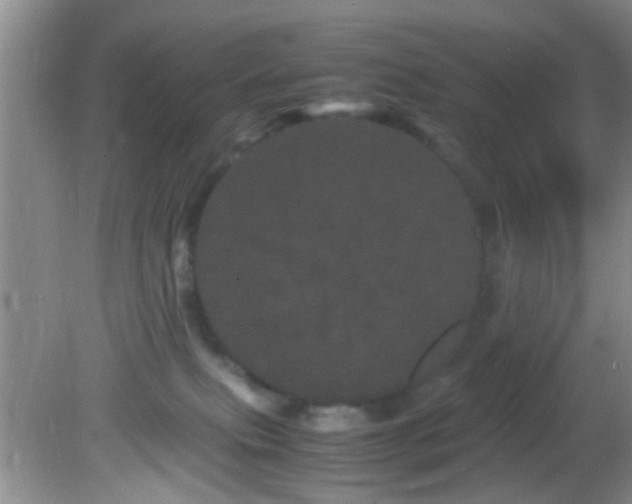 X0000082200087200701270129