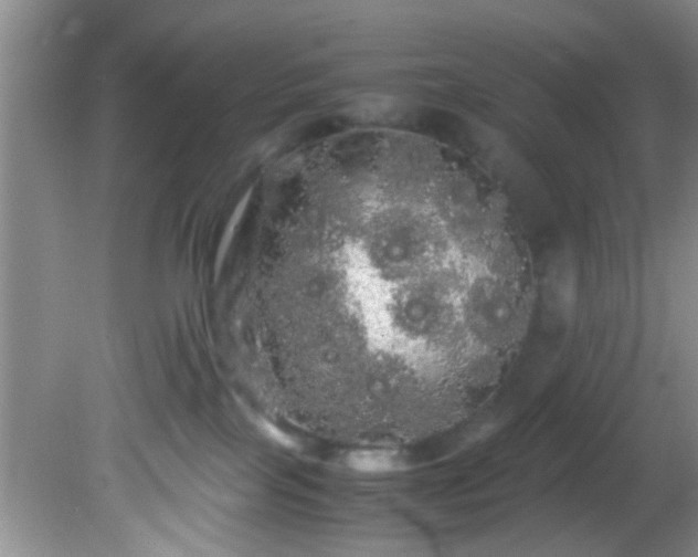 X0000082200089200701270129