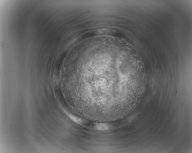 X0000082200091200701270129