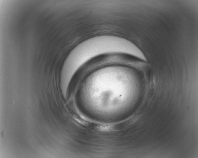 X0000082200093200701270129